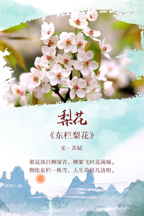 關(guān)于美女賞花的詩(shī)句