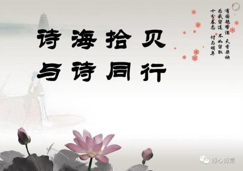 關(guān)于一起同行的詩(shī)句