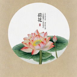 有關(guān)于月花的詩句