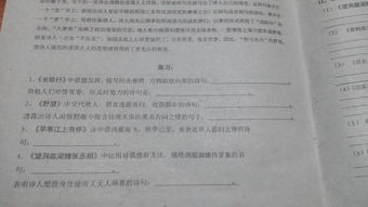 關(guān)于動(dòng)物的詩句八級(jí)以下