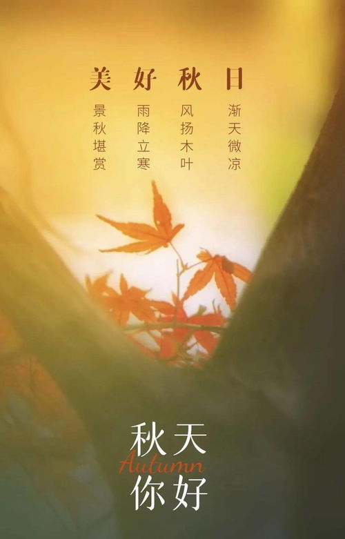 關(guān)于九月的詩句古詩詞