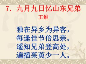 詩句,贊美,課堂,發(fā)言