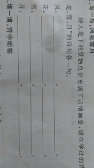 寫出關(guān)于月的詩句