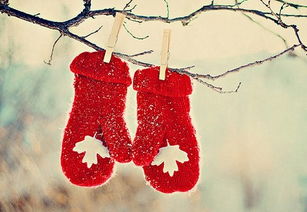 天冷回家的古詩句