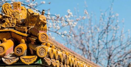 形容活在當(dāng)下的古詩(shī)句