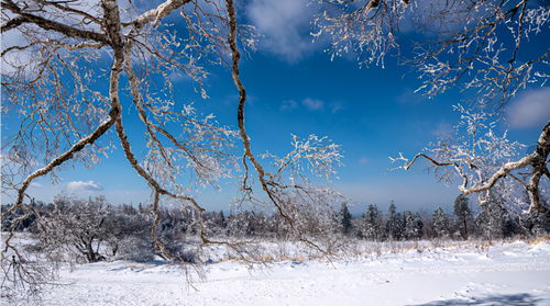 描寫江海的經(jīng)典古詩句,描寫教師節(jié)的經(jīng)典古詩句,描寫故鄉(xiāng)的經(jīng)典古詩句