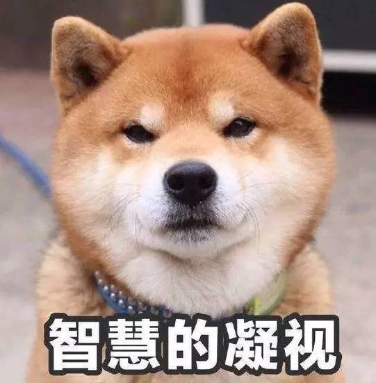 關(guān)于金犬的詩句