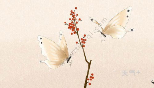 古詩-相思的詩句及解釋