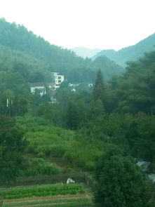 關(guān)于.初陽的詩句