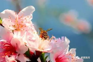 關(guān)于潤兩春的詩句