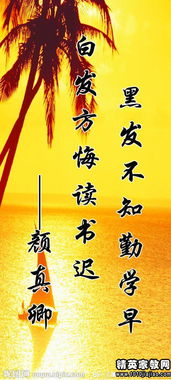 關于讀書有關的名言警句或詩句,關于讀書的名言警句詩句故事,寫讀書的名言警句,詩句