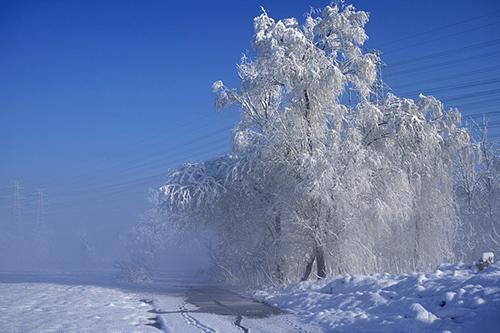 
高適:《別董大》
千里黃云白日曛,北風吹雁雪紛紛.
莫愁前路無知己,天下誰人不識君?
李白《北風行》
燭龍棲寒門,光耀猶旦開.
日月照之何不及此,唯有北風號怒天上來.
燕山雪花大如席,片片吹落軒轅臺.
幽州思婦十二月,停歌罷笑雙蛾摧.
倚門望行人,念君長城苦寒良可哀.
別時提劍救邊去,遺此虎文金鞞靫.
中有一又白羽箭,蜘蛛結網生塵埃.
箭空在,人今戰(zhàn)死不復回.
不忍見此物,焚之已成灰.
黃河捧土尚可塞,北風雨雪恨難裁.
描寫冬天的古詩和描寫冬天的名句北風其涼,雨雪其雱雨雪:下雪。
雨:下,落。雱:大雪紛飛的樣子。
《詩經·邶風·北風》北風其喈,雨雪其霏喈:風疾的樣子。霏:霏霏,紛飛的樣子。
《詩經·邶風·北風》雨雪瀌瀌,見晛曰消瀌瀌:雪盛的樣子;一說猶“飄飄”。晛;太陽的熱氣。
曰:語助詞,無實義?!对娊洝ば⊙拧そ枪访隙畾庵粒憋L何慘栗。
孟冬:冬季的第一個月。慘栗:非常寒冷。
漢·《古詩孟冬寒氣至》寒風吹我骨,嚴霜切我肌。漢·《古詩童童孤生柳》寒風摧樹木,嚴霜結庭蘭漢·樂府古辭《古詩為焦仲卿妻作》凄凄歲暮風,翳翳經日雪。
傾耳無希聲,在目皓已潔凄凄:寒涼。翳翳:陰暗。
希:少。在目:眼睛所見。
皓:白。晉·陶淵明《癸卯歲十二月中作與從弟敬遠》撒鹽空中差可擬,未若柳絮因風起晉·謝道蘊《詠雪聯(lián)句》:“白雪紛紛何所似,撒鹽空中差可擬,未若柳絮因風起?!?/p>
明月照積雪,朔風勁且哀朔風:北風。勁:猛烈。
哀:凄厲。南朝宋·謝靈運《歲暮》隔牖風驚竹,開門雪滿山牖:窗戶。
風驚竹:風中帶雪,打在竹上,發(fā)出沙沙的響聲。唐·王維《冬晚對雪憶胡居士家》不知庭霰今朝落,疑是林花昨夜開庭霰:落在庭院里的雪花。
唐·宋之問《苑中遇雪應制》水聲冰下咽,沙路雪中平唐·劉長卿《酬張夏雪夜赴州訪別途中苦寒作》一條藤徑綠,萬點雪峰晴唐·李白《冬日歸舊山》地白風色寒,雪花大如手唐·李白《嘲王歷陽不肯飲酒》燕山雪花大如席,紛紛吹落軒轅臺軒轅臺:相傳為黃帝擒蚩尤之處。唐·李白《北風行》亂云低薄暮,急雪舞回風回風:回旋的風。
唐·杜甫《對雪》霜嚴衣帶斷,指直不得結指直:手指僵直。唐·杜甫《自京赴奉先縣詠懷五百字》云晴鷗更舞,風逆雁無行無行:不成行列。
唐·杜甫《冬晚送長孫漸舍人歸州》寒天催日短,風浪與云平唐·杜甫《公安縣懷古》斜陽疏竹上,殘雪亂山中唐·韓翃《褚主簿宅會畢庶子錢員外郎使君》(一作張繼詩)誰將平地萬堆雪,剪刻作此連天花唐·韓愈《李花二首》:“當春天地爭奢華,洛陽園苑尤紛拏。誰將平地萬堆雪,剪刻作此連天花?!?/p>
千山鳥飛絕,萬徑人蹤滅。孤舟蓑笠翁,獨釣寒江雪。
唐·柳宗元《江雪》嚴冬不肅殺,何以見陽春肅殺:嚴酷蕭瑟的樣子。唐·呂溫《孟冬蒲津關河亭作》天寒色青蒼,北風叫枯桑。
厚冰無裂文,短日有冷光叫:風聲如吼。唐·孟郊《苦寒吟》才見嶺頭云似蓋,已驚巖下雪如塵。
千峰筍石千株玉,萬樹松蘿萬朵云唐·元稹《南秦雪》六出飛花入戶時,坐看青竹變瓊枝六出:雪花呈六角形,故以“六出”稱雪花。瓊枝:竹枝因雪覆蓋面似白玉一般。
唐·高駢《對雪》夜深知雪重,時聞折竹聲唐·白居易《夜雪》:“已訝衾枕冷,復見窗戶明。夜深知雪重,時聞折竹聲?!?/p>
旋撲珠簾過粉墻,輕于柳絮重于霜兩句寫雪花紛飛的景象。唐·李商隱《對雪二首》百泉凍皆咽,我吟寒更切咽:泉水因冰凍而流動不暢,因以嗚咽來形容。
吟:歌吟。唐·劉駕《苦寒吟》:“百泉凍皆咽,我吟寒更切。
半夜倚喬松,不覺滿衣雪。”戰(zhàn)退玉龍三百萬,敗鱗殘甲滿天飛玉龍:形容飛雪。
敗鱗殘甲:形容雪片亂舞如鱗甲之片紛紛墜落。宋·胡仔《苕溪漁隱叢話》前集卷五十四引《西清詩話》載張元作《雪》詩江山不夜月千里,天地無私玉萬家玉:喻白雪。
元·黃庚《雪》溪深難受雪,山凍不流云清·洪升《雪望》。
1、忽如一夜春風來,千樹萬樹梨花開。
—— 唐·岑參《白雪歌送武判官歸京》譯文:忽然間宛如一夜春風吹來,好像是千樹萬樹梨花盛開。2、千山鳥飛絕,萬徑人蹤滅。
孤舟蓑笠翁,獨釣寒江雪?!啤ち谠督?》 譯文:所有的山,飛鳥全都斷絕;所有的路,不見人影蹤跡。
江上孤舟,漁翁披蓑戴笠;獨自垂釣,不怕冰雪侵襲。3、已訝衾枕冷,復見窗戶明。
夜深知雪重,時聞折竹聲?!啤ぐ拙右住兑寡纷g文:夜臥枕被如冰,不由讓我很驚訝,又看見窗戶被白雪泛出的光照亮。
夜深的時候就知道雪下得很大,是因為不時地能聽到雪把竹枝壓折的聲音。4、晚來天欲雪,能飲一杯無?——唐·白居易《問劉十九》譯文:天快黑了大雪將至,能否一顧寒舍共飲一杯暖酒?5、飛絮飛花何處是,層冰積雪摧殘,疏疏一樹五更寒。
——出自清代納蘭性德的《臨江仙·寒柳》譯文:柳絮楊花隨風飄到哪里去了呢?原來是被冬日的積雪冰層、嚴寒的風所摧殘了,五更時這株柳樹只顯得凄冷蕭疏。6、寒更傳曉箭,清鏡覽衰顏。
隔牖風驚竹,開門雪滿山?!啤ね蹙S《冬晚對雪憶胡居士家》譯文:寒冷的更聲已經傳報拂曉時刻,明鏡中先看到自己的衰老容顏。
隔窗聽風聲亂撼著窗前的叢竹,推門見大雪蓋滿了對面的群山。
![有關冬天的詩句古詩大全