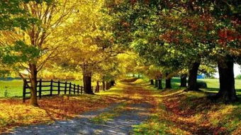 江南秋天詩句古詩