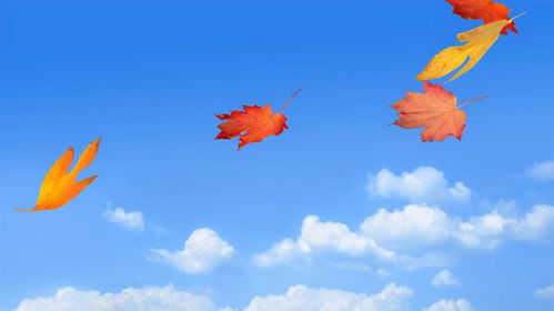 中秋思念的詩(shī)句古詩(shī),思念友人的詩(shī)句古詩(shī),中秋思念親人的詩(shī)句古詩(shī)