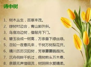 詩句,中考,祝愿,美好