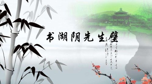 關于書湖陰先生壁的詩句