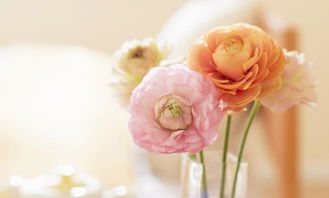 表達(dá)被家人孤立的古詩句