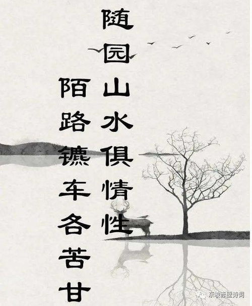 關(guān)于撿的詩(shī)句