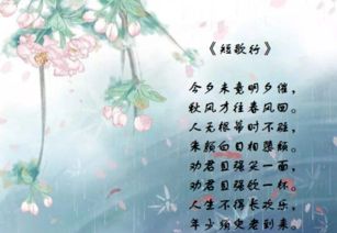 關(guān)于慢慢變老的詩句