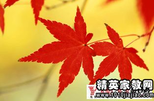 秋天古詩句唯美句子