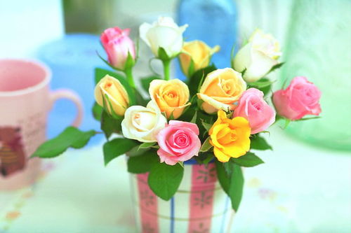 關(guān)于圣誕玫瑰花的詩句