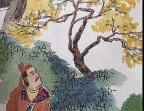 關(guān)于雨有意思的詩(shī)句