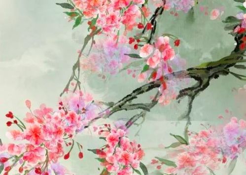 一起寫桃花和梨花的古詩(shī)句