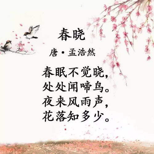古詩,詩句,描寫,優(yōu)美