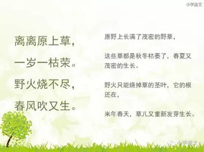 詩(shī)句,學(xué)過(guò),于梅