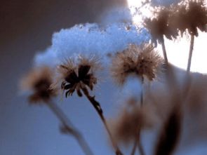 關(guān)于人生遇到貴人的詩句