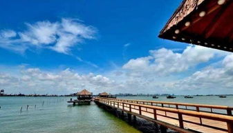 關(guān)于湛江市霞山區(qū)的詩(shī)句600字