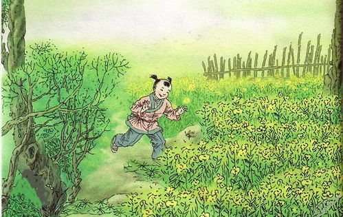 詩(shī)句,無(wú)憂無(wú)慮