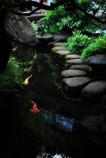 關(guān)于懷才不遇壯志難酬的詩(shī)句