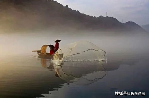 題畫這首古詩的詩句