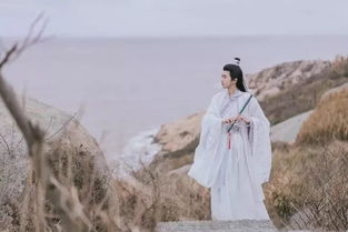 古詩(shī)中夸男子好看的詩(shī)句