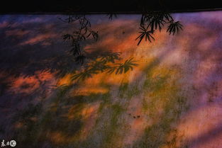 關(guān)于竹子氣節(jié)的詩句古詩