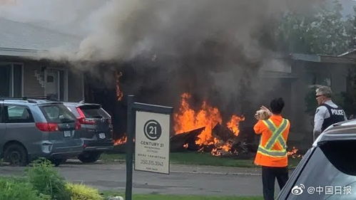 關(guān)于雪鳥(niǎo)的詩(shī)句