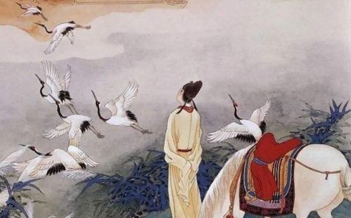 描寫鳥的詩(shī)古詩(shī)句