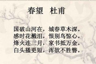 10句關(guān)于愛國情懷的詩句