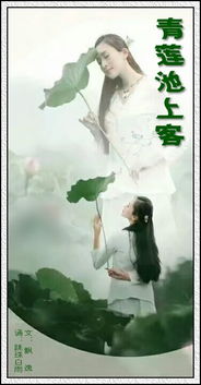 關(guān)于狐貍與青蓮的詩句