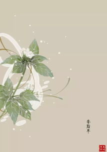 關(guān)于天地的傳說或詩句