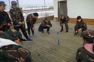 關(guān)于孩子素質(zhì)拓展的詩句