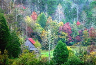 詩(shī)句,秋天,冬天,夏天