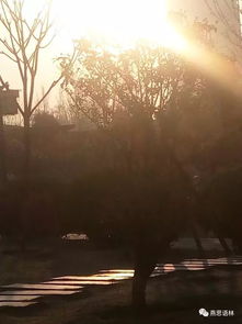 關(guān)于春天早晨的詩(shī)句