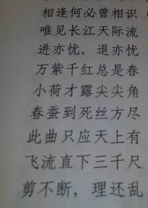 關(guān)于鹽的詩句和成語