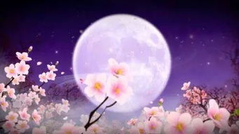 古詩(shī)中描寫(xiě)思念家鄉(xiāng)親人的詩(shī)句