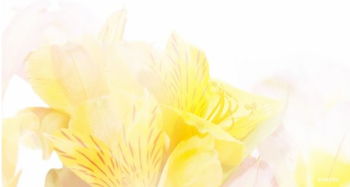 關(guān)于春天的好句詩句