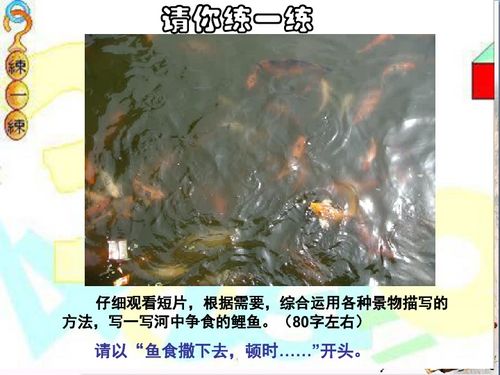 關(guān)于一景一物總關(guān)情的句子或詩句的