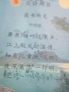 關(guān)于描的詩句