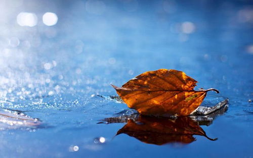 關(guān)于陰天的詩(shī)句古詩(shī)